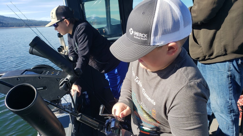 Image 46
